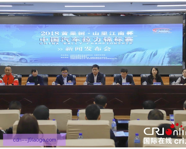 汽车拉力锦标赛数据分析应用：精准调校提升赛速